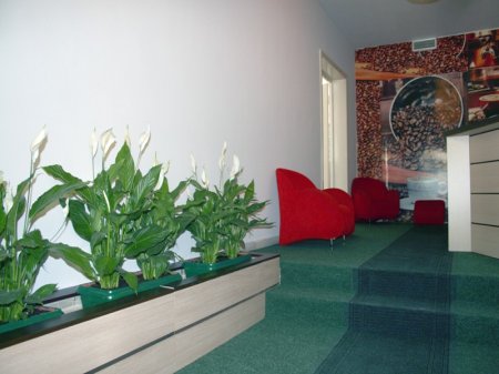 hotel seven tirana hall